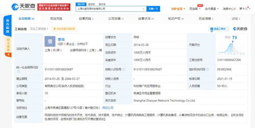 計算機系統(tǒng)集成 構(gòu)建高效信息生態(tài)的關(guān)鍵路徑