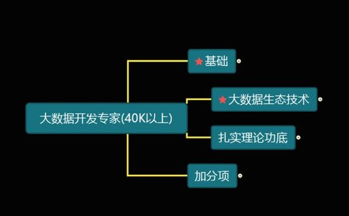 大數(shù)據(jù)開發(fā)工程師必備技能 軟實(shí)力與硬實(shí)力全解析