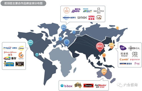 若羽臣擬IPO 以電商綜合服務(wù)助力強(qiáng)生、美贊臣等全球優(yōu)質(zhì)品牌，賦能互聯(lián)網(wǎng)銷售