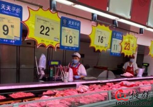 濟南豬肉市場現價格分化 鮮肉零售價上漲，凍肉性價比凸顯引餐飲業混用